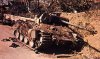 Panzerkampfwagen V Panther (2)
